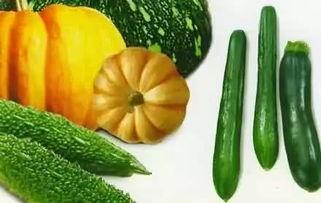 余乐吃瓜,揭秘娱乐圈幕后故事  第1张